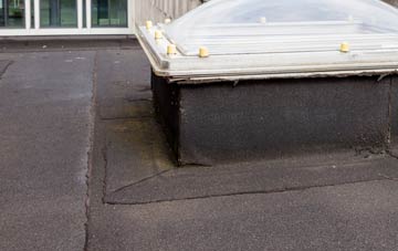 disadvantages of Hazles flat roofs