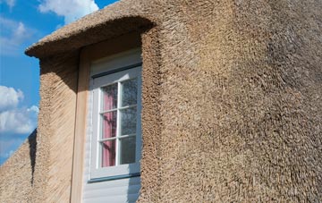 Hazles thatch roof disadvantages