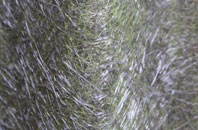 Hazles fibreglass roof work